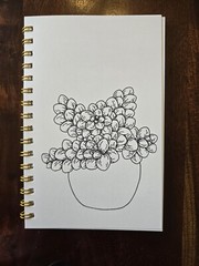 House Plants Coloring books for adults. A5 Size Coloring Book 8.5 in X 5.5 in.