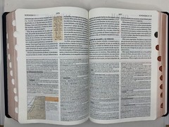 BIBLIA DE ESTUDIO TEOLOGICO TAPA DURA CON INDEX REINA VALERA 1960