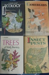 Lot 8 Vintage GOLDEN GUIDE Books BIRDS Butterflies FLOWERS Seashore INSECTS Tree