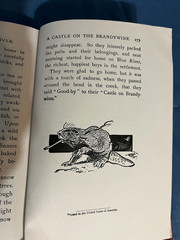 VINTAGE 1959 THE BEARS OF BLUE RIVER HC BOOK BY CHARLES MAJOR ~ MACMILLAN CO.