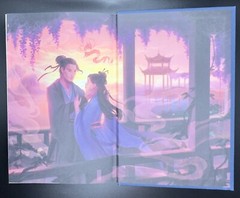 FairyLoot August 2024 YA Box: The Girl With No Reflection by Keshe Chow