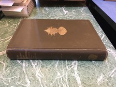 BUREAU OF AMERICAN ETHNOLOGY 14th Annual Report 1892-93 Part 2 HB Ghost Dance