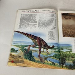 Vintage 1993 DINOSAURS Dougal Dixon Lot of 5 Highlights Books for Children