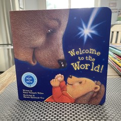 Welcome to the World – Board book By Nancy Elizabeth Wallace – Newborn and Up