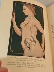 Vtg The Illustrated Encyclopedia of Sex Antique Book Color Illustrations 1949