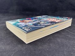 Dowl Masters 01 Kadokawa Dengeki Bunko Tsutomu Sato/Tarou2 Japanese light novel