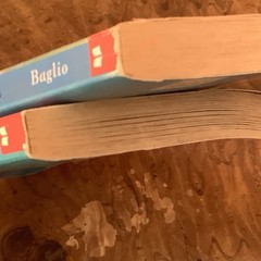 Dolphin Diaries Books 8 And 9, Ben M. Bagilo Scholastic Printing 2002 Lot Of 2