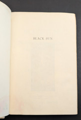 Black Sun : The Brief Transit and Violent Eclipse of Harry Crosby Hardback