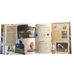 A Natural History of Magick by Poppy David Jessica Roux Hardcover Book Folklore