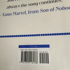 Son of Nobody : A Novel by Yann Martel (2026, Hardcover)