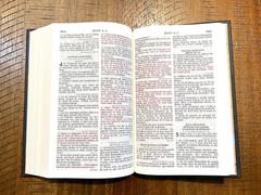 French Bible, La Sainte Bible – Segond 1910 Black Hardcover, Handheld Red Letter