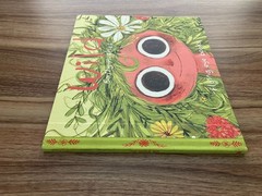 Wild – Emily Hughes – Hardcover – Flying Eye Books