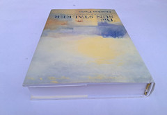 The Sun Stalker: A Novel Based on the Life of Joseph Mallord William Turner