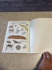 Vintage Australian Animals Sticker Fun Coloring Book 1983 New Unused