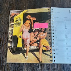 Girly Magazines 2007 Taschen Diary Vintage Pin Ups Covers Art
