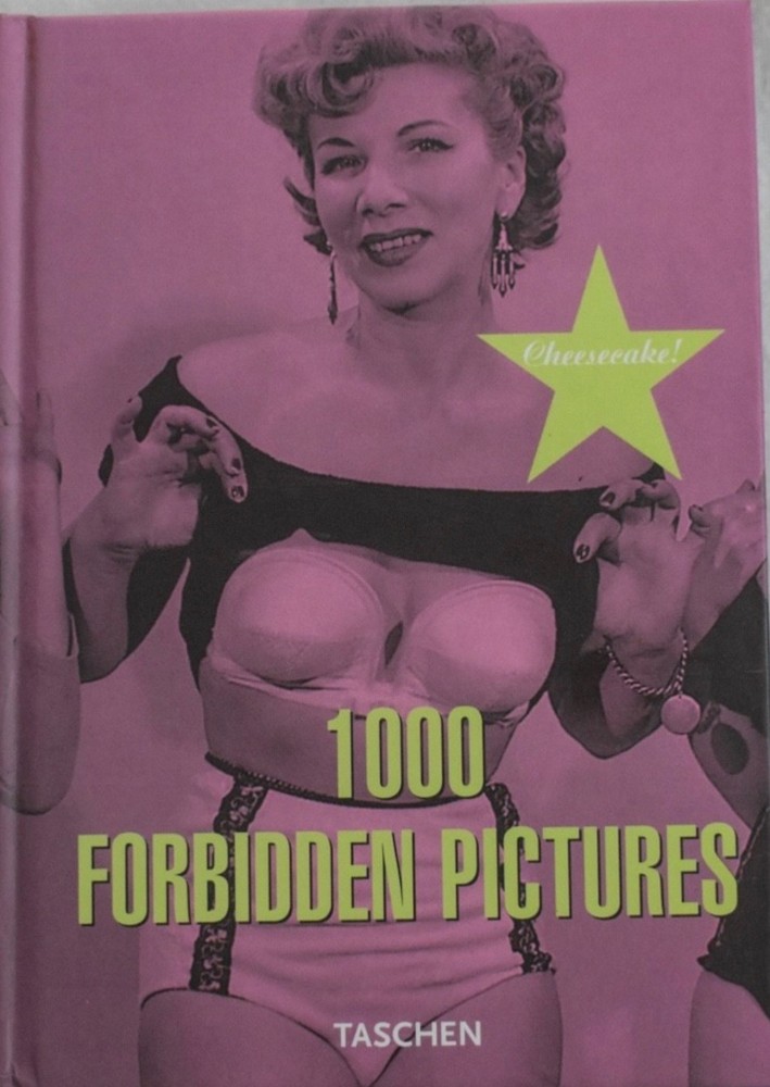 1000 Forbidden Pictures by Mark Rotenberg (2002, Trade Paperback)