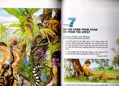 NEW The Amazing Story of Creation, Duane T Gish, 1990, HC, 9 x 11.25, 112 pages