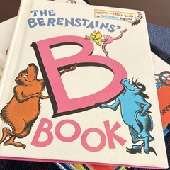 Berenstain Bears hardcover Book Lot of 8 Stan & Jan Berenstain Illustrated