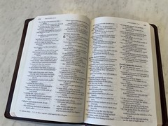 Bible NIV 1984 Large Print Thinline Burgundy Bonded Leather Excellent Condition