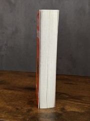 Terry Pratchett Small Gods (Fiction)