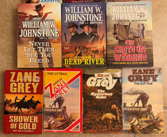 Lot of 17 Western Action Books ~ Johnstone + Zane Grey + L’Amoure + Max Brand ++