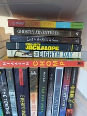 Lot of 27 Chapter Books for BOYS Young Adults Children RANDOM