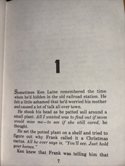 Ken’s Bright Room By Dorothy Hamilton Herald Press 1983 Illustrated By Converse