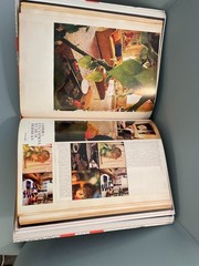 David Hicks Scrapbooks ISBN 978-0-86565-345-0 in good condition for age.