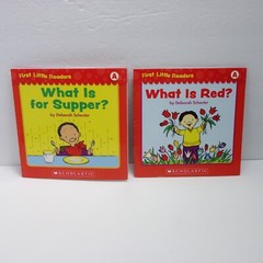 Scholastic First Little Readers Level A Lot of 20 Learn to Read Emergent Reader