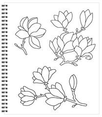 Calming Coloring Book For Adults 31 Pages Sea Shells Flowers Mandalas Feathers