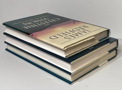 Lot 3 The Celestine Prophecy Tenth 10th Insight Vision Spiritual Awareness HC/DJ