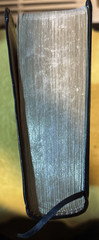 New World Translation of the Holy Scriptures Jehovah JW Bible 1984 Watch Tower
