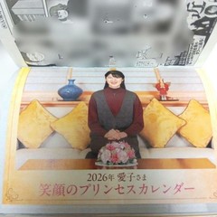 Josei Seven January 1, 2026 Issue: Includes ACEes poster and Princess Ai #QYCVTC