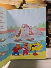 Berenstain Bears Lot 8+ Books by Stan & Jan Berenstain – Hardcover Children’s Bo