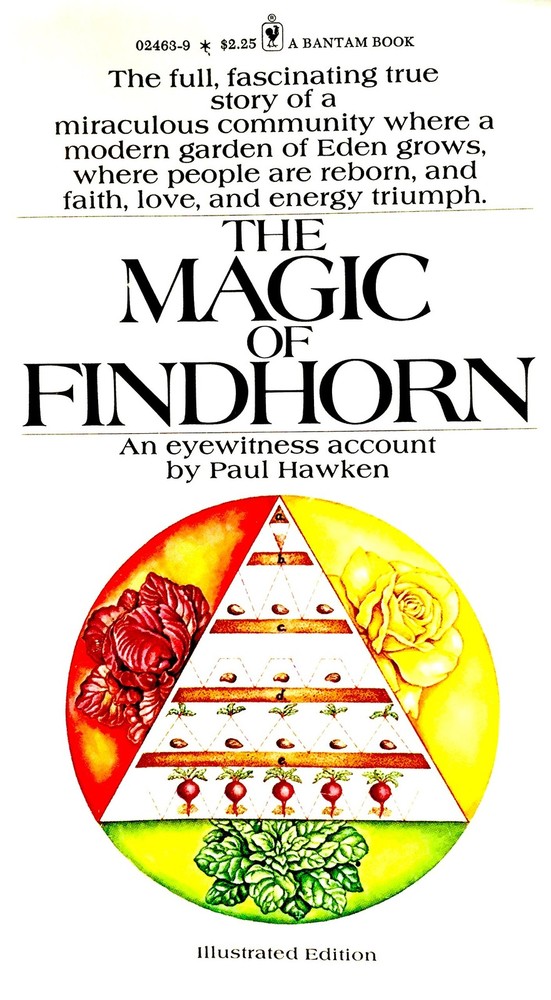 The magic of Findhorn (A Bantam Book)