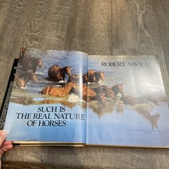 Such Is the Real Nature of Horses by Robert Vavra (1998, Hardcover/Dust Jacket)