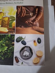 Illustrated Encyclopedia of Natural Remedies / Recipes Book Superfoods Cleanses