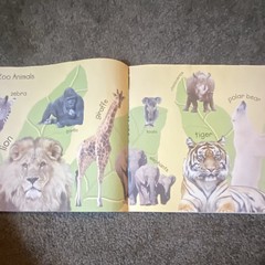 My Book of Animals Bendon, Inc. 2009 Board Book Picture Book Ages 4-8