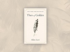 Theo of Golden Allen Levi Hardcover 2025 NY Times Bestseller A Novel