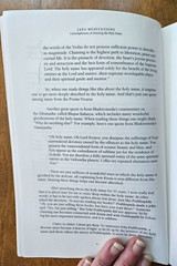 Japa Meditations: Contemplations on Entering the Holy Name by Dhanurdhara Swami
