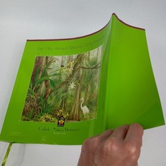 The 19th World Orchid Conference in Miami FL – 2008 (Hardcover Book) 504 Pages
