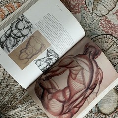 Dynamic Anatomy by Burne Hogarth Revised and Expanded Edition
