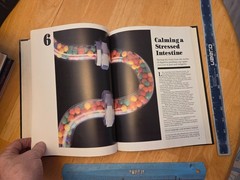 Prevention Total Health System Ser.: Everyday Health Hints (1985, Hardcover)
