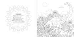 Animals: A Smithsonian Coloring Book Box Set, Smithsonian Institution, Excellent