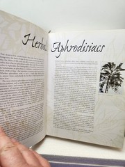 Herbal The Essential Guide to Herbs for Living Hardcover By Deni Bown 2001