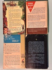 [LOT of 30] Vintage Paperbacks Great Authors & Titles Various Mixed Genres Clean