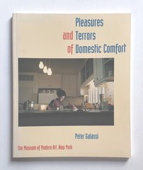 Pleasures and Terrors of Domestic Comfort, Peter Galassi (1991) 1st Edition Rare