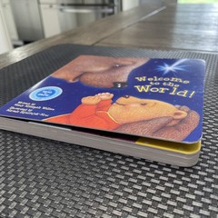 Welcome to the World – Board book By Nancy Elizabeth Wallace – Newborn and Up