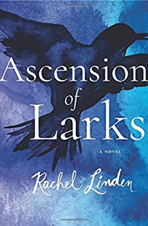 Ascension of Larks Paperback Rachel Linden