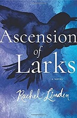 Ascension of Larks Paperback Rachel Linden